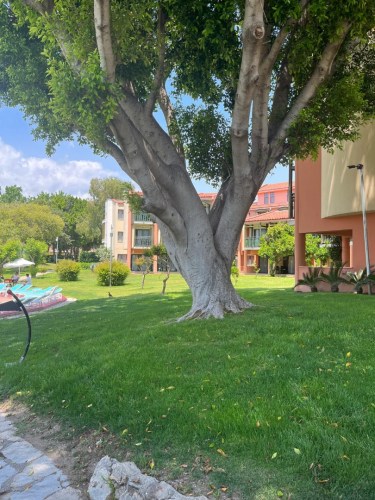 IMG-20250530-WA0204-2