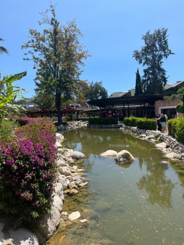 IMG-20250530-WA0218-2