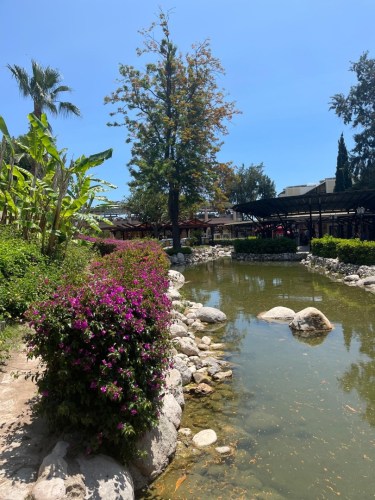 IMG-20250530-WA0229-2