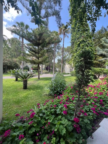 Zdjcie_WhatsApp_2025-05-30_o_22.23.33_b0d110ea-2